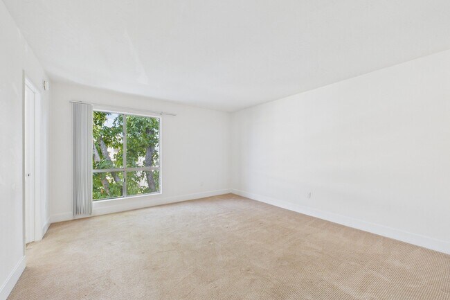 Photo - Willis Park East