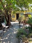 Front and shared yard - 5714 Virginia Ave