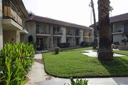 Courtyard - CASA DE VALLE Apartments