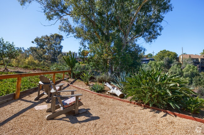 Courtyard - Antone Apartments