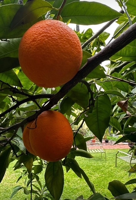 Building Photo - 4435 12th St Unit home