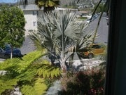 view from unit - 3056 Luna Dr Unit Studio