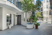 Courtyard - Sycamore Terrace