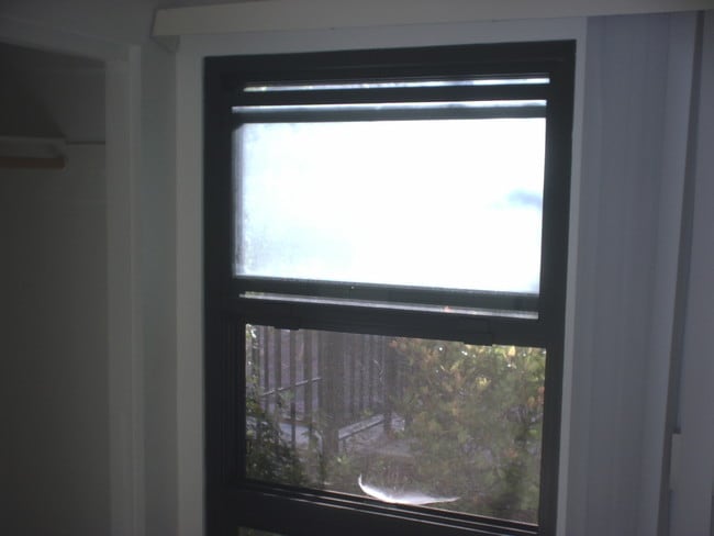 WINDOW - 7740 Redlands St Unit 1097