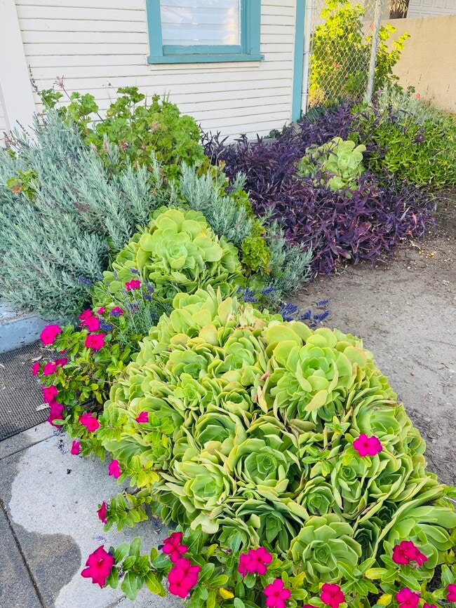Garden - 1045 Bradford St