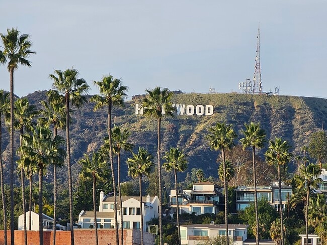 Roof Deck View - Hollywood Sign - 5641 Observation Ln House