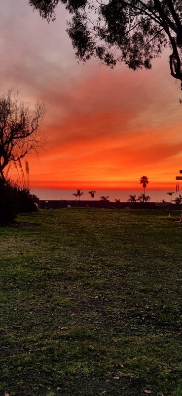 Photo - 124 Calle Cuervo