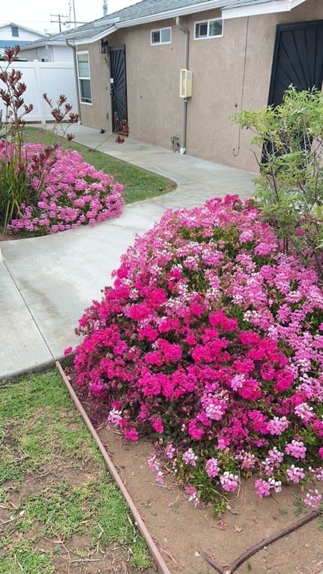 Photo - 1 Block from the Beach! Apartment Home in Ocean Beach! Private Garage! Private Patio! Unit 4830 Pescadero Ave