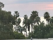 Photo - 301 Ashland Ave Unit 5