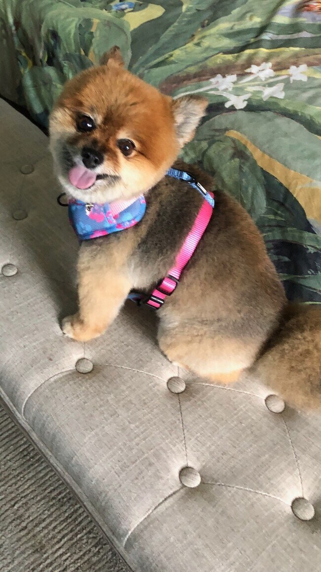 Photo - 33074 Ocean Rdg