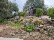 Photo - 4209 Alpine Blvd