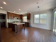 Photo - 123 Stallion