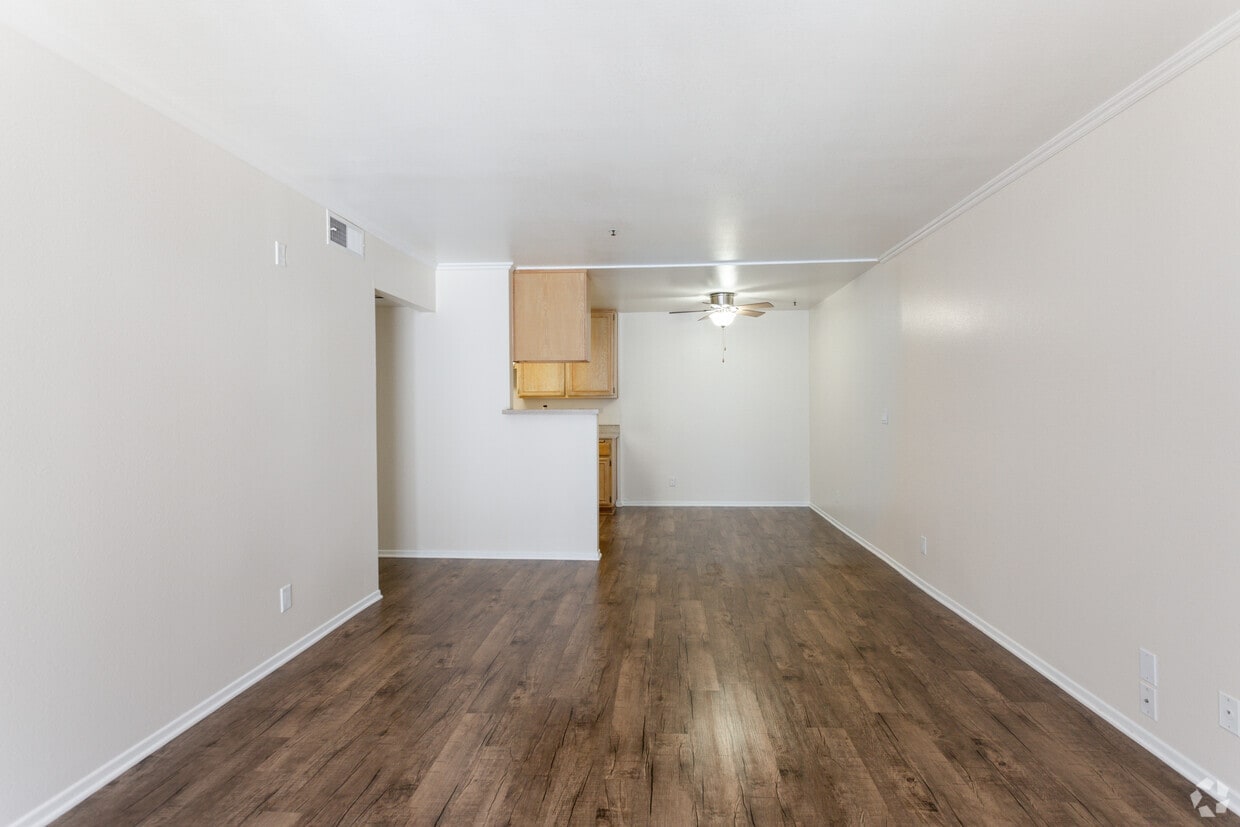 3D Tour - Palmera