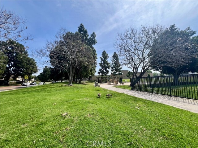 Photo - 17 Goldenrod