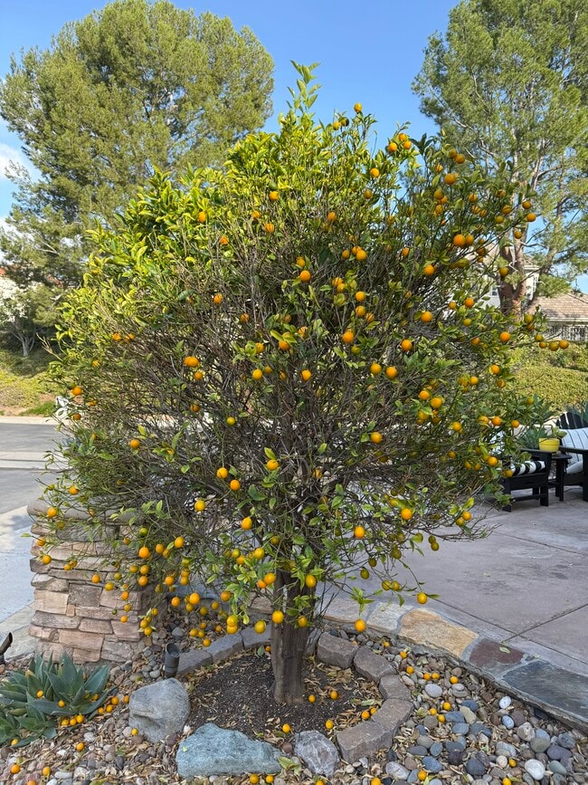 Building Photo - 133 Biome