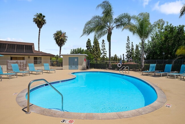 Building Photo - Capri at Sunny Hills Rental
