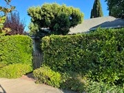 Street view - 10750 Rochester Ave House