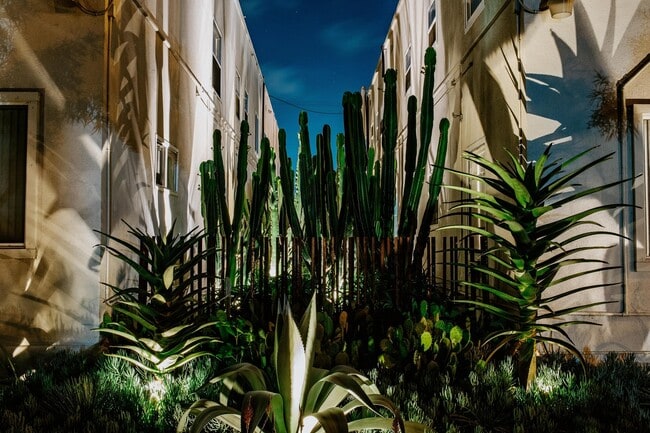 Building Photo - Community @ Mi Apartamento 2 Bedroom (1 Be... Unit 14