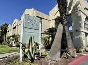 Photo - Palma Imperial