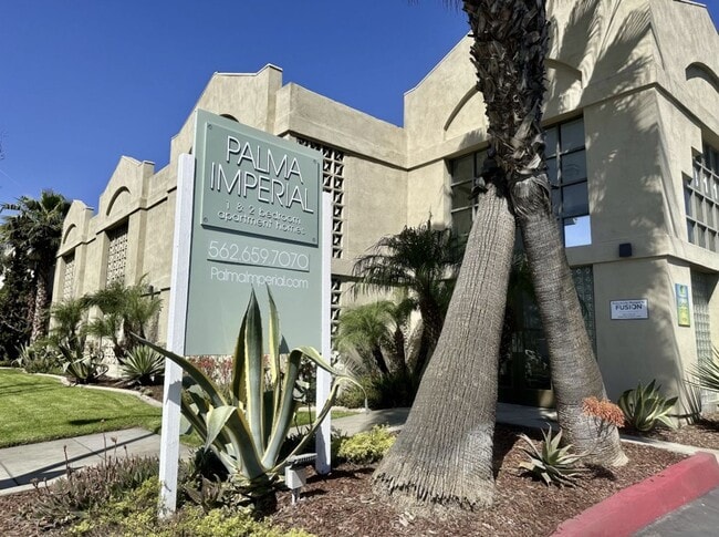 Photo - Palma Imperial