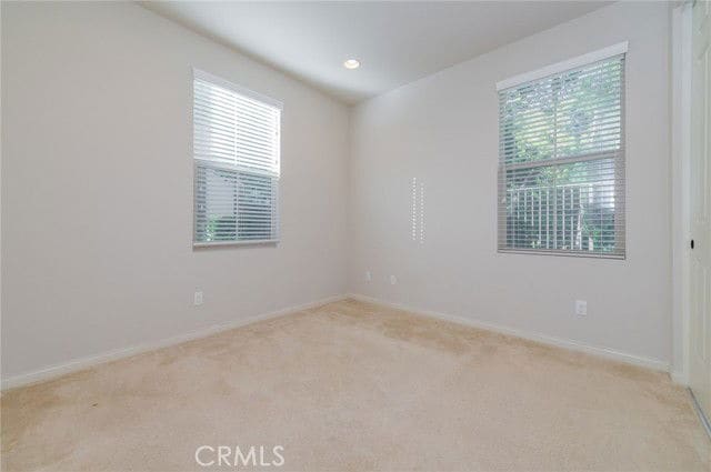 Photo - 183 Bright Poppy