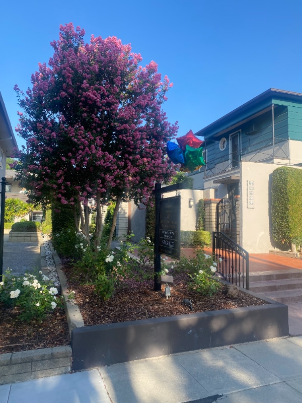 Photo - 271 S El Molino Ave Apartment Unit 271