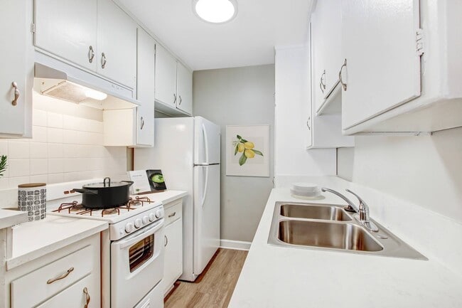 Building Photo - The McLaughlin Avenue Apartments