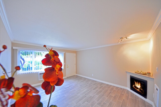 Photo - Walnut Grand