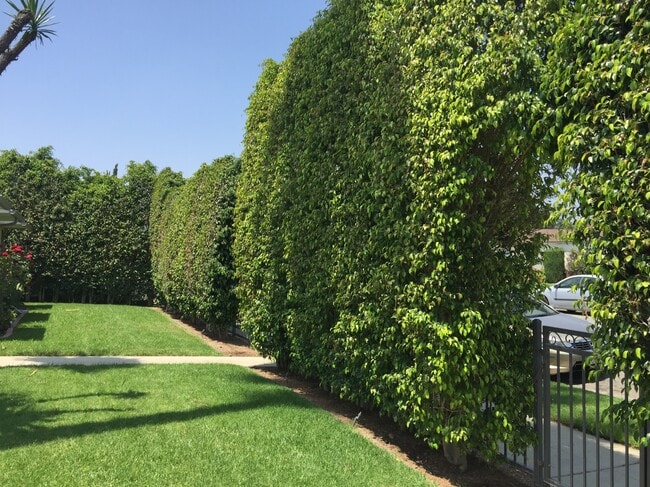 Photo - 263 N Florence St