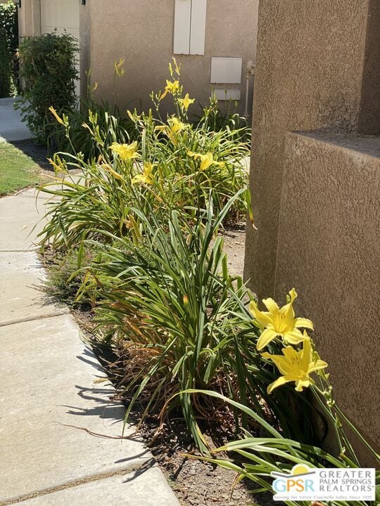 Photo - 29727 W Laguna Dr