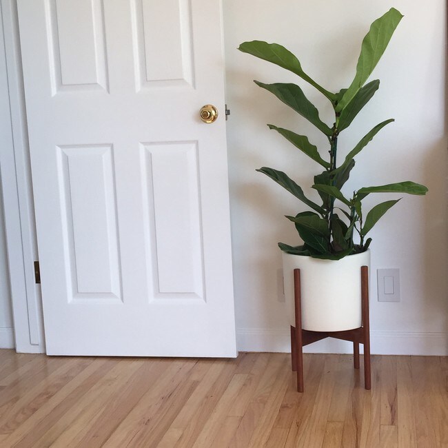 Photo - 3101 3rd St Unit 1