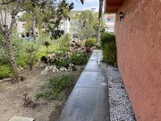 Photo - 847 Mola Vista Way House