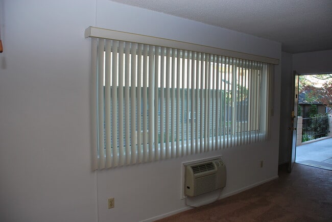 Livingroom Window - 236 S Mentor Ave Unit Upstairs #11