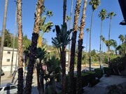 Photo - Hollywood Villa Apartments