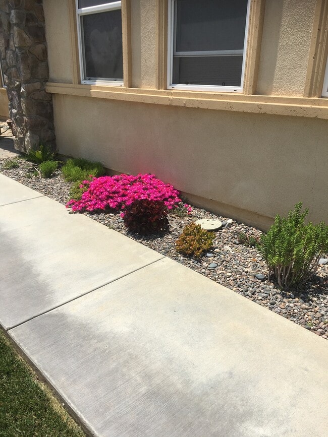 Photo - 6568 N Caleb Ln