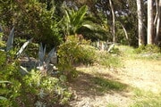 Photo - 3161 Ivy St