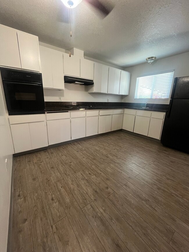 Photo - Beautiful Sago Palms