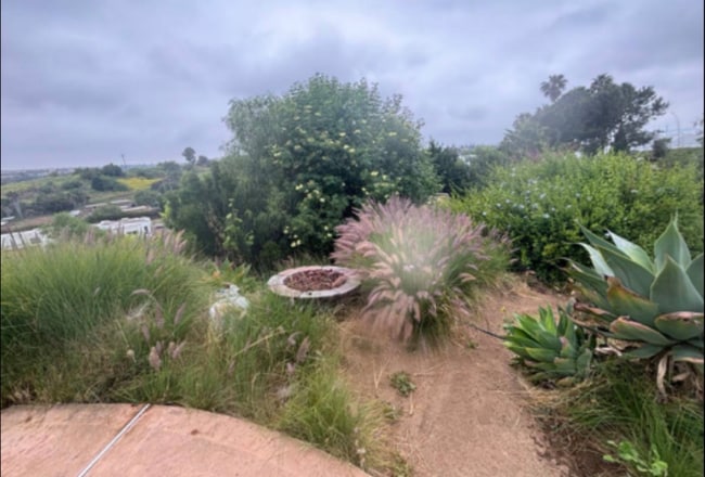 Photo - 315 Osborne St