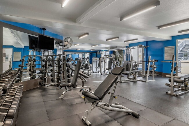 Photo - Aqua at Marina del Rey