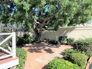 Photo - La Jolla - 2 BR / 1 BA Cottage at the Cove...