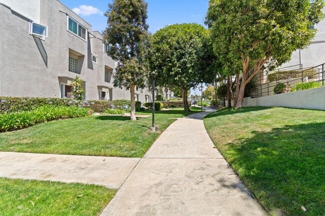 Photo - 501 Herondo St