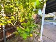 Photo - 10202 Jardine Ave