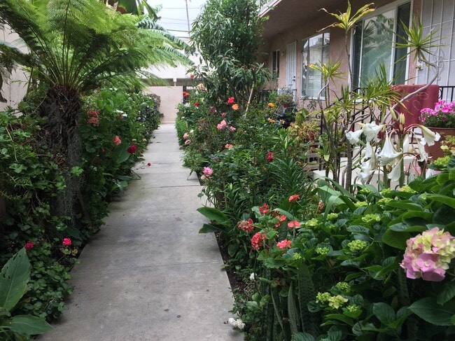 Sunny ground floor Apt. Enchanting tropical flowered common area - 3721 Motor Ave Unit Apt. F