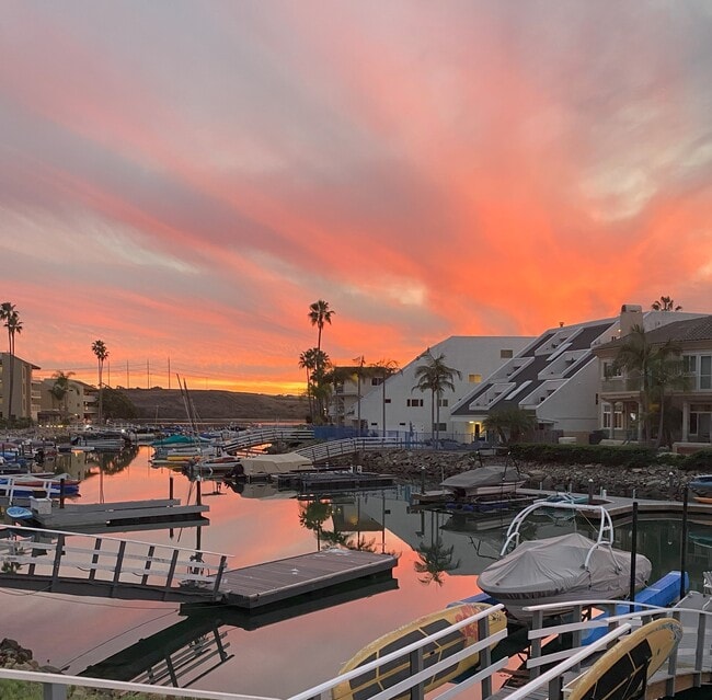 View from apartment - 4659 Park Dr Unit A