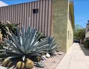 1536 S Orange Grove - 1536 S Orange Grove Ave Apartments Unit 3