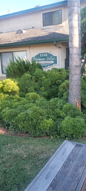 Photo - 1141 Persimmon Ave Apartment