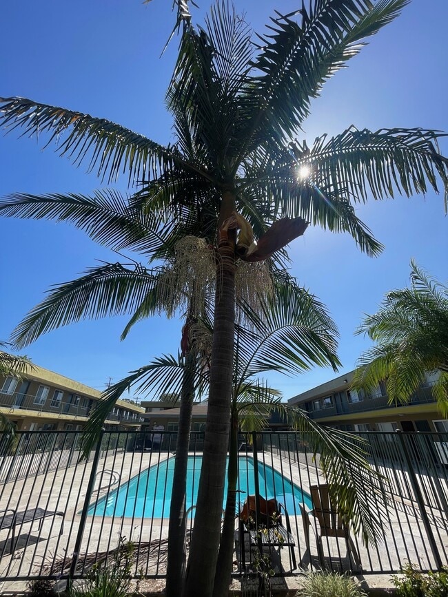 Photo - Country Villa Apartments