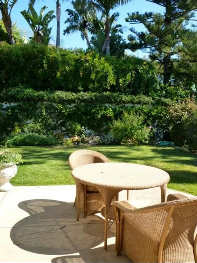 Back yard - 2290 Golden Gate Ave