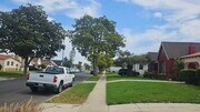 Tree lined street - 2028 W 81st St