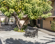 Courtyard - Ridgewood Apartments